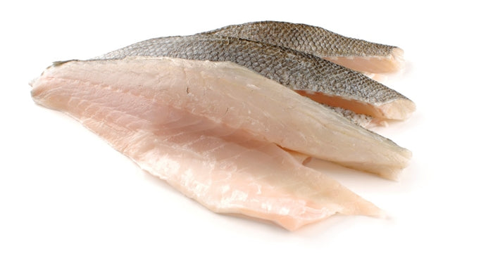 European Sea bass (Loup de Mer – Branzino)