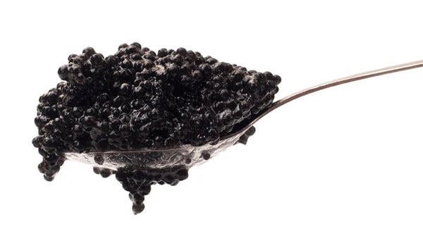Bowfin Caviar