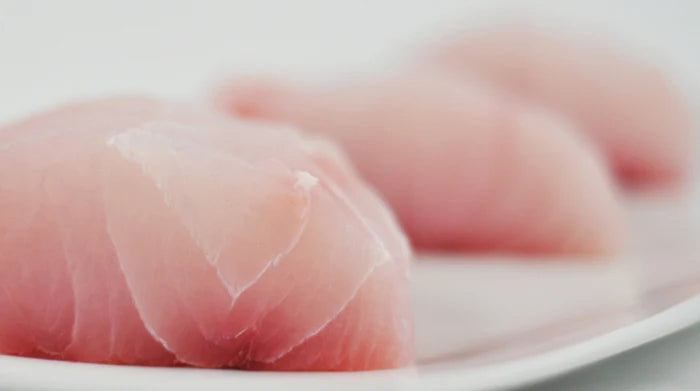 Corvina Fish Online