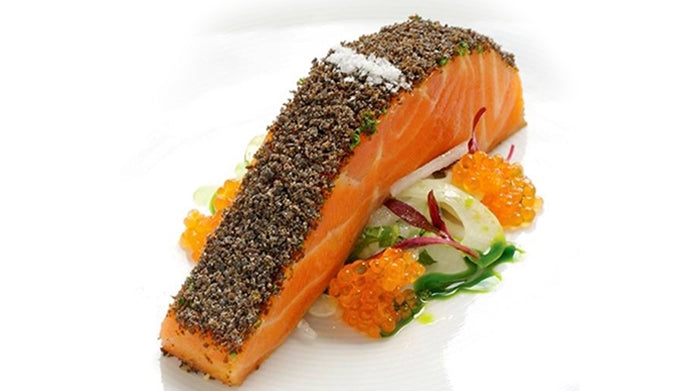 Tasmanian Ocean Trout