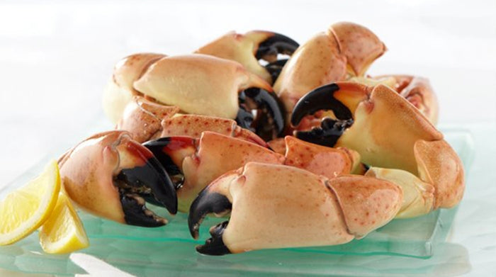 Fresh Florida Stone Crab Claws