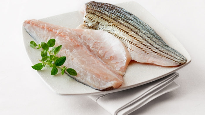 Fresh Striped Sea Bass Shima Suzuki