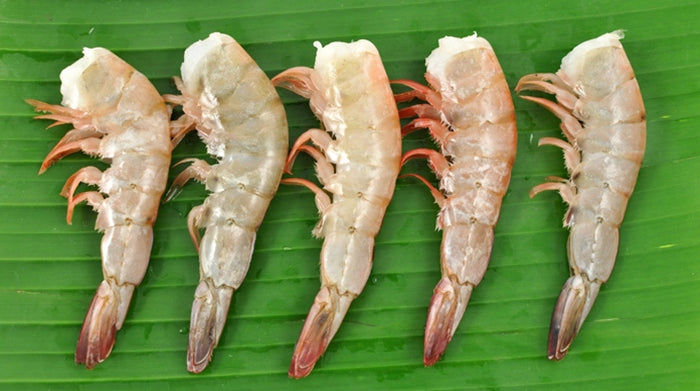 Frozen Wild Mexian Shrimp U 12