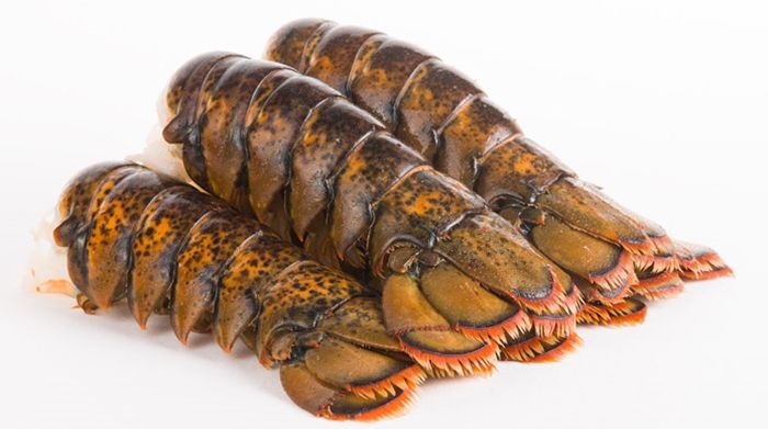 Frozen North Atlantic Lobster Tails