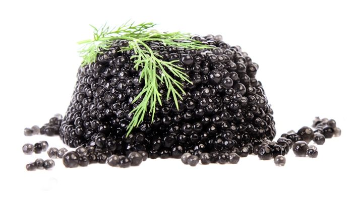 Sevruga Caviar