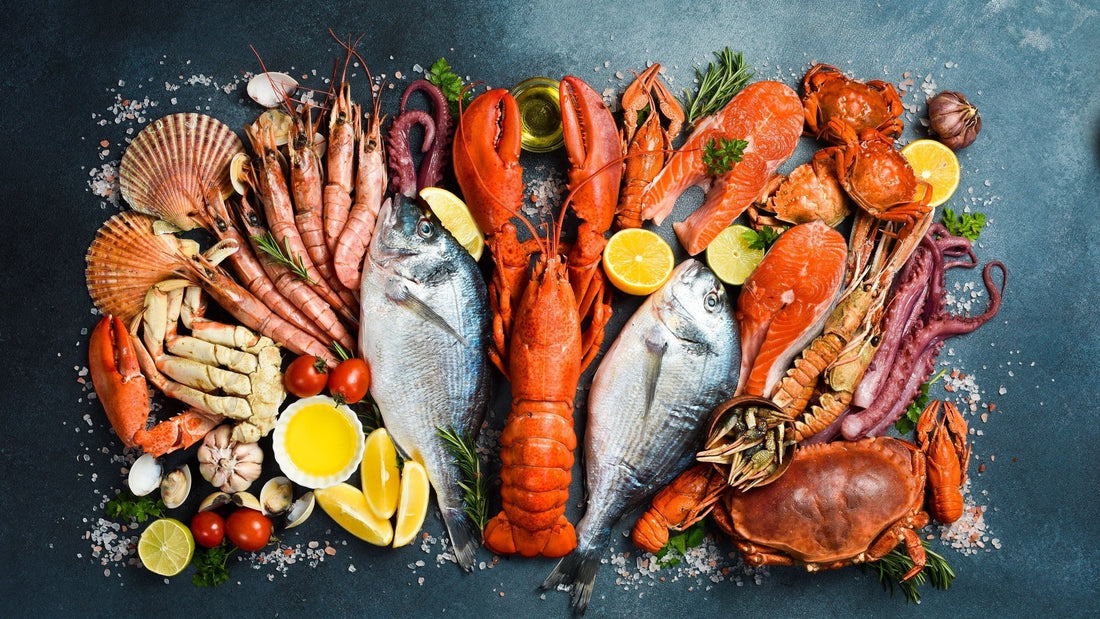 Frozen vs Fresh Seafood | Difference Between Fresh and Frozen Fish