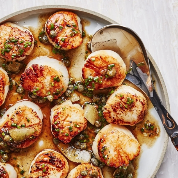 Scallops