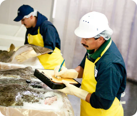 Buy Frozen Seafood Online